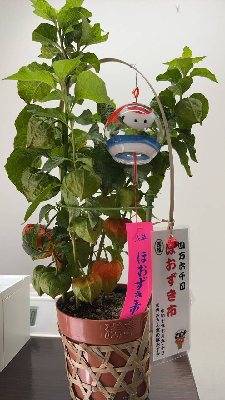 ほおずき市