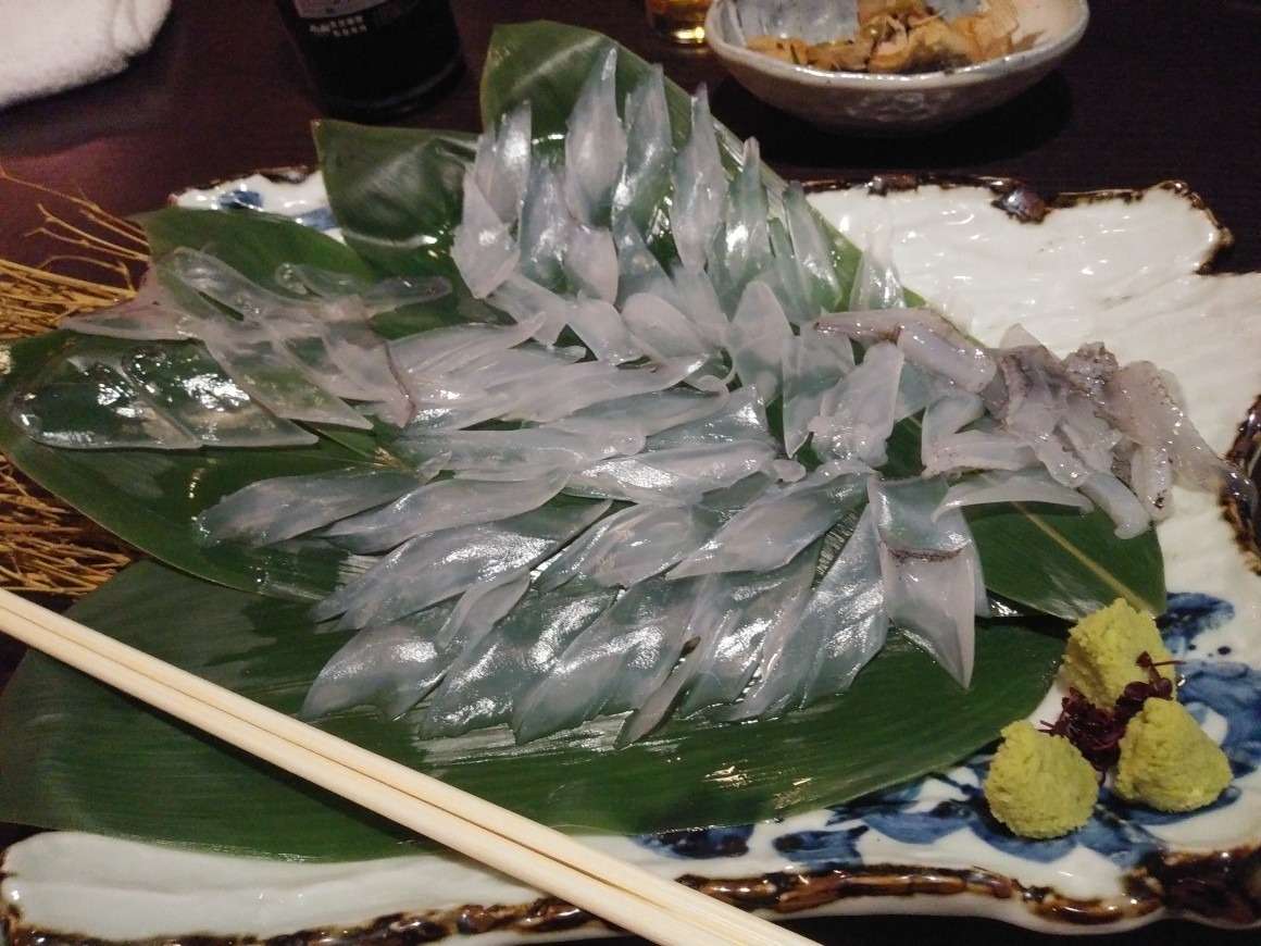 活いか