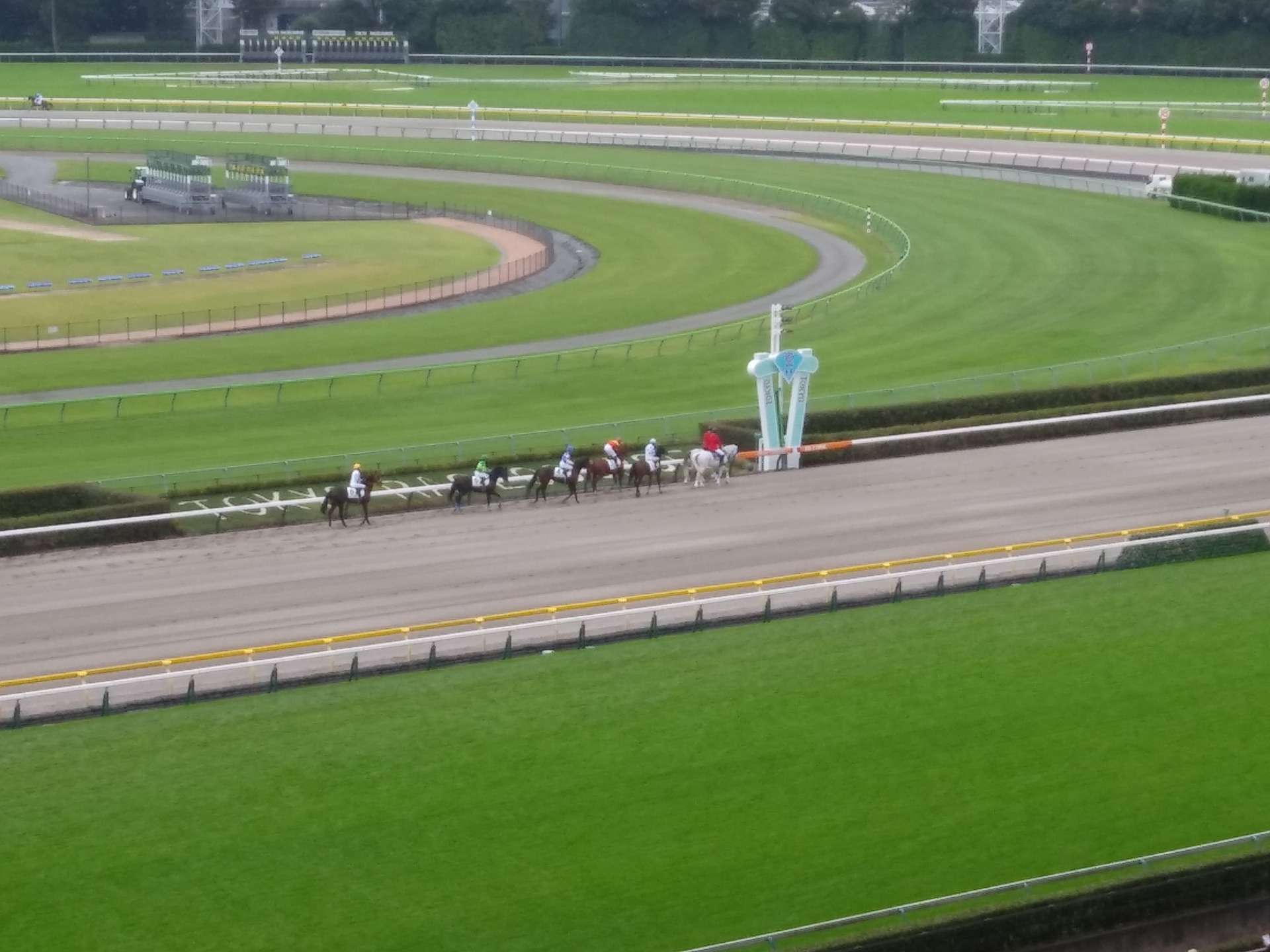競馬