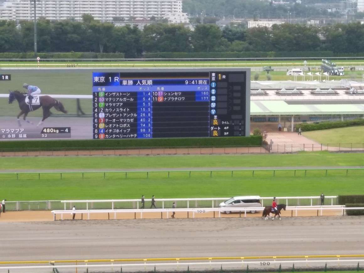 競馬