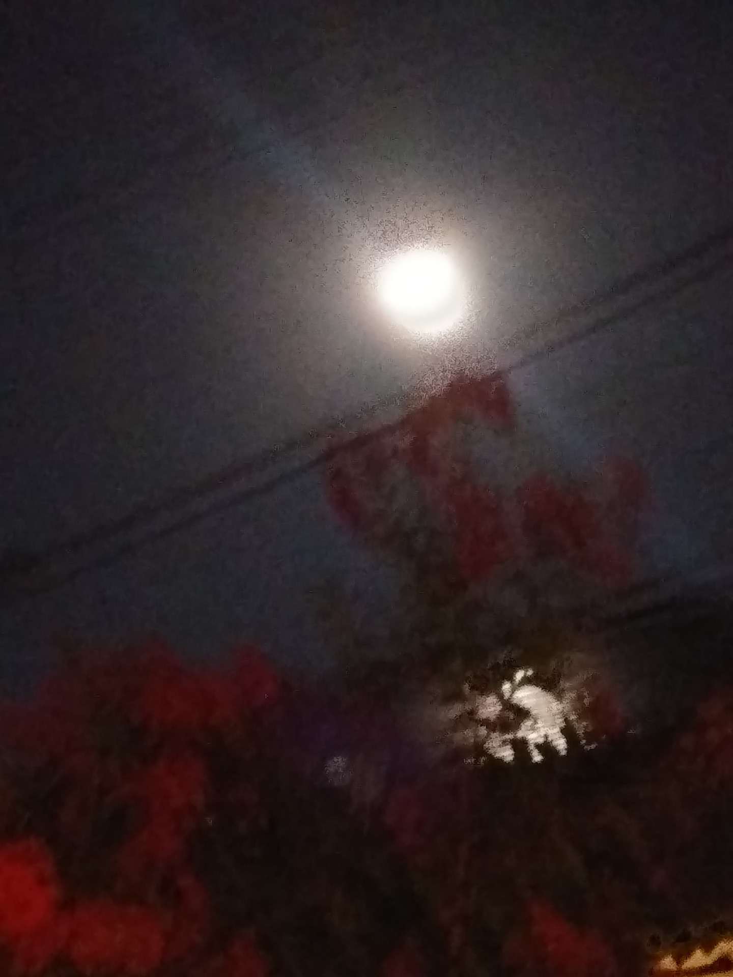 中秋の名月2