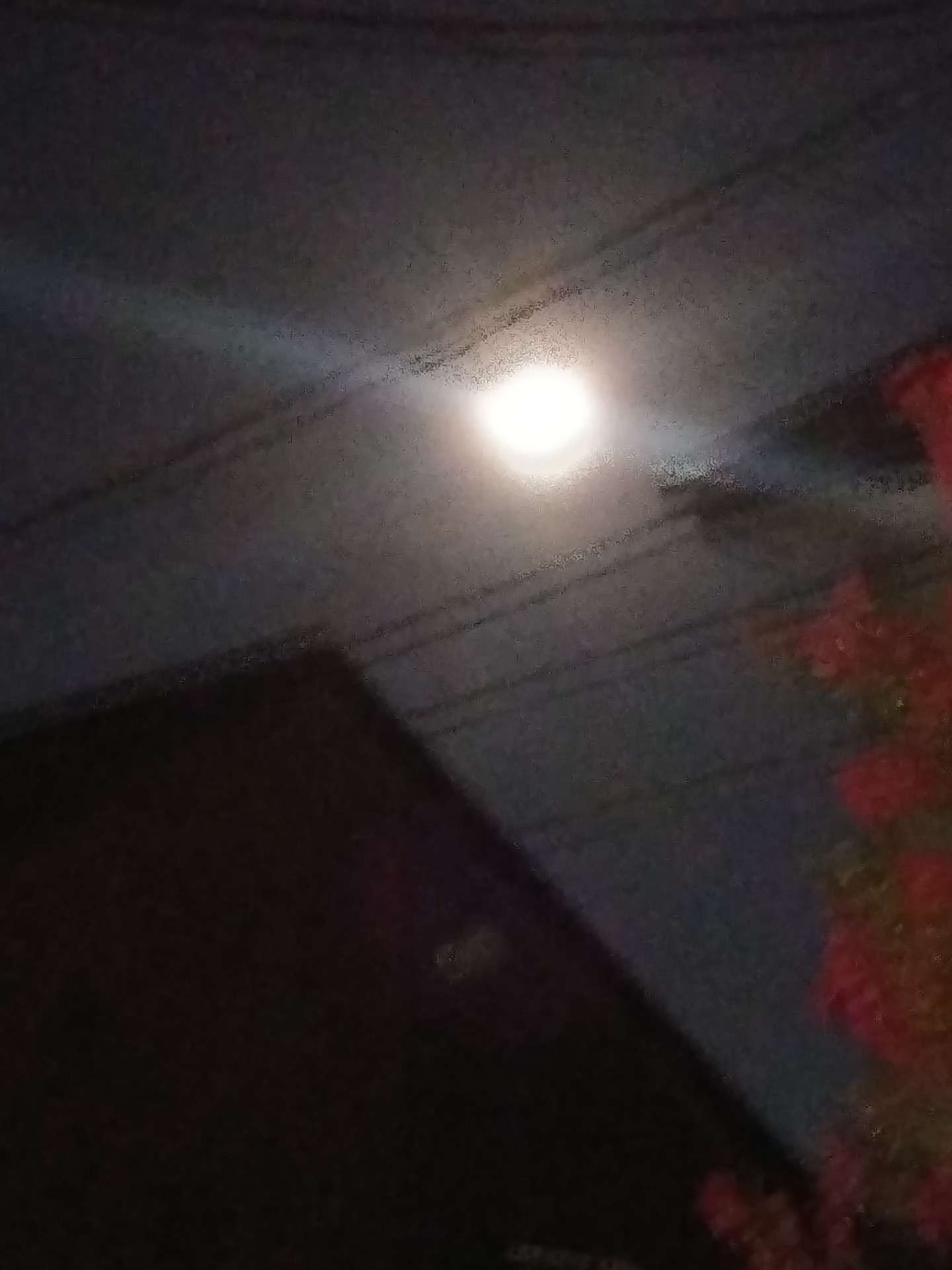 中秋の名月2