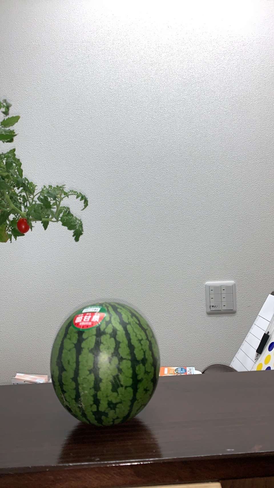 スイカ