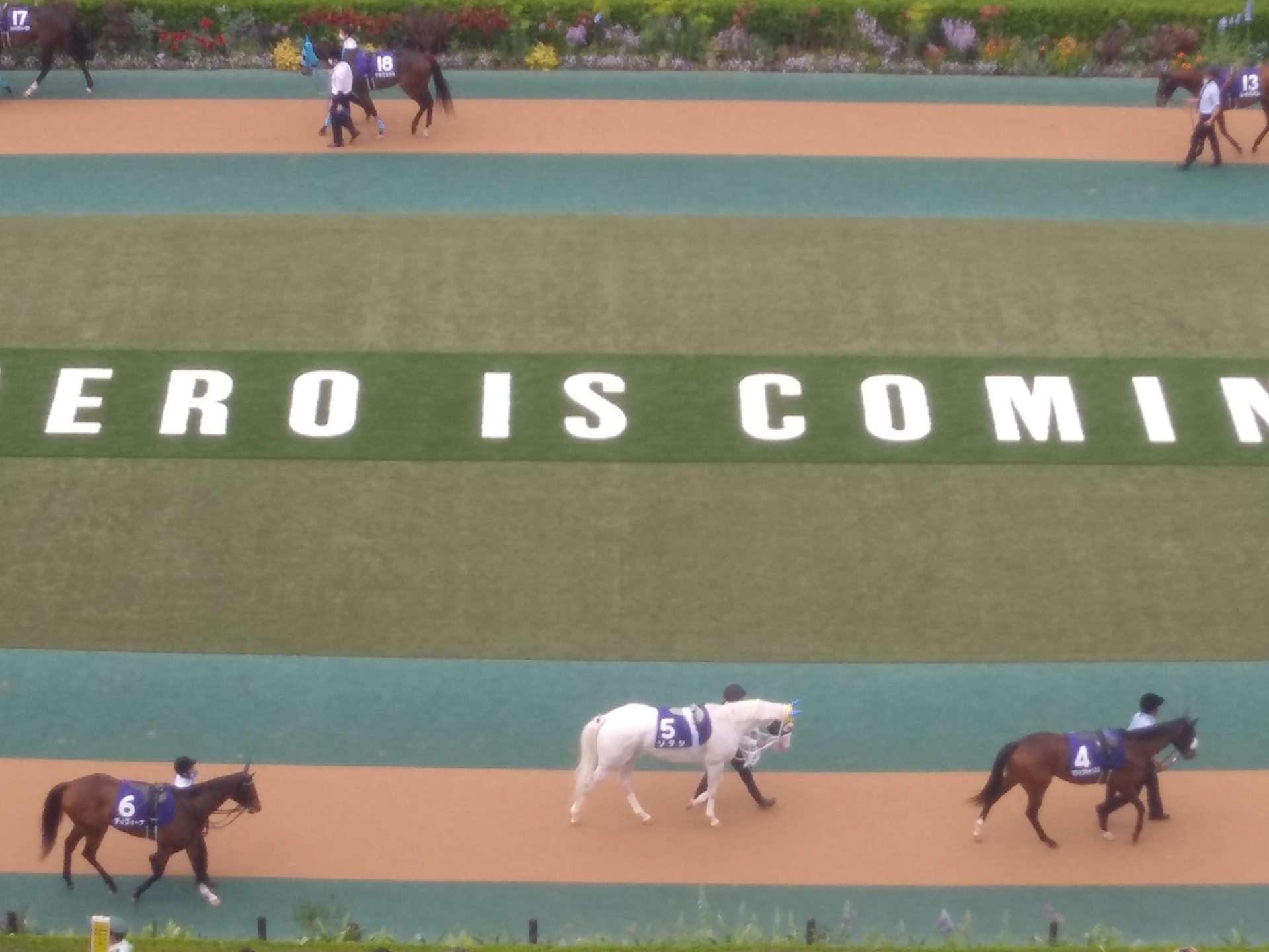 競馬
