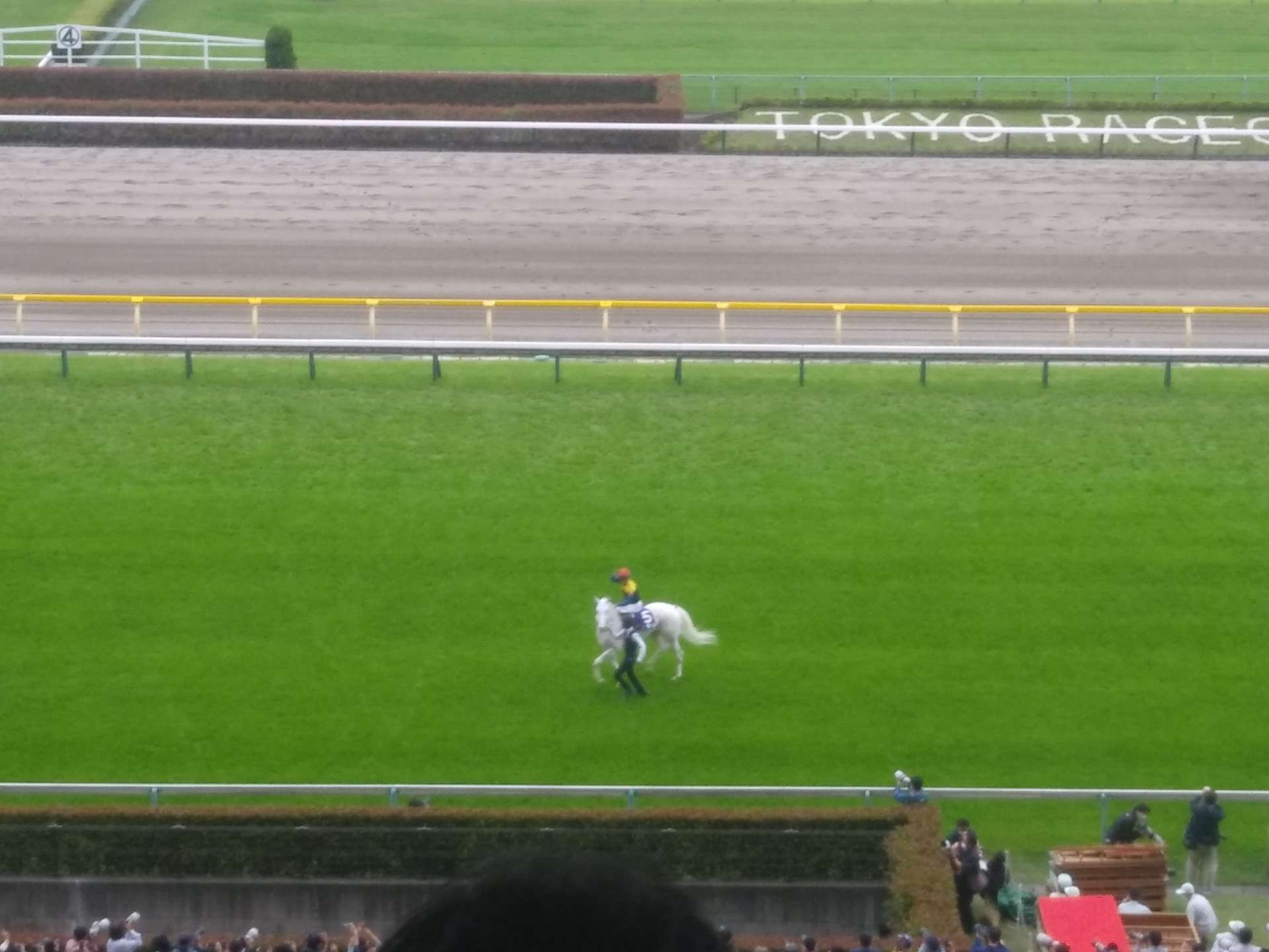 競馬